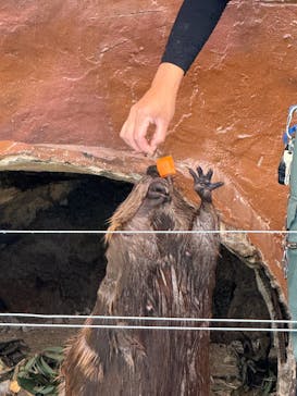 東武動物公園に投稿された画像（2025/6/11）