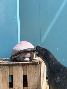 東武動物公園に投稿された画像（2025/6/11）