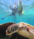 nico 宮古島に投稿された画像（2025/6/11）