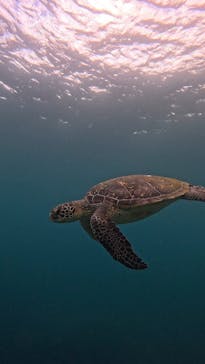  マリンショップHAPPYに投稿された画像（2025/6/11）