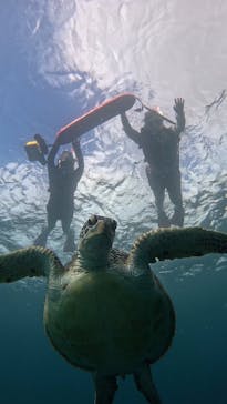  マリンショップHAPPYに投稿された画像（2025/6/11）