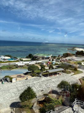 沖縄美ら海水族館に投稿された画像（2025/6/11）
