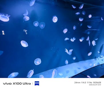 サンシャイン水族館に投稿された画像（2025/6/12）