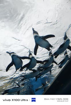 サンシャイン水族館に投稿された画像（2025/6/12）
