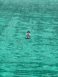 淡路ワールドパークONOKOROに投稿された画像（2025/6/12）