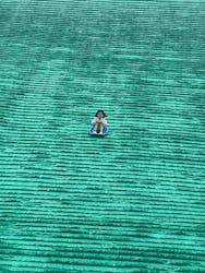 淡路ワールドパークONOKOROに投稿された画像（2025/6/12）
