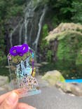 箱根湯本温泉 天成園に投稿された画像（2025/6/12）