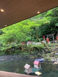 箱根湯本温泉 天成園に投稿された画像（2025/6/12）