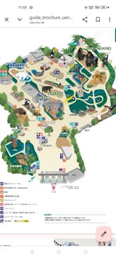 恩賜上野動物園に投稿された画像（2025/6/12）