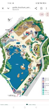 恩賜上野動物園に投稿された画像（2025/6/12）