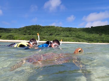 元気玉に投稿された画像（2025/6/12）