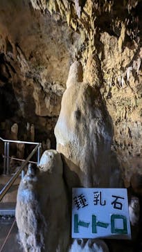 石垣島鍾乳洞に投稿された画像（2025/6/12）