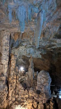 石垣島鍾乳洞に投稿された画像（2025/6/12）