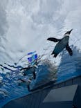 サンシャイン水族館に投稿された画像（2025/6/12）