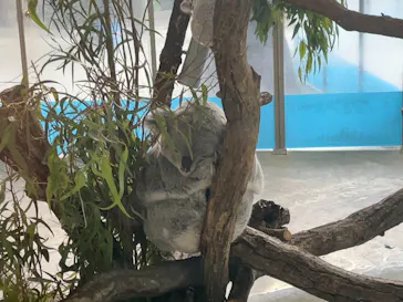 多摩動物公園に投稿された画像（2025/6/12）