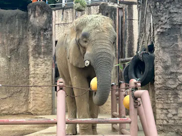 多摩動物公園に投稿された画像（2025/6/12）