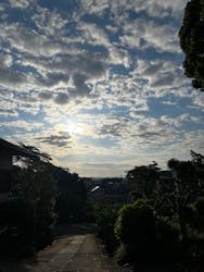 高福寺に投稿された画像（2025/6/12）