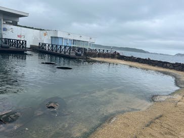 串本海中公園水族館に投稿された画像（2025/6/12）