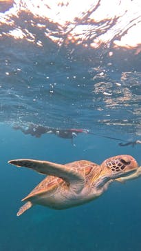  マリンショップHAPPYに投稿された画像（2025/6/12）