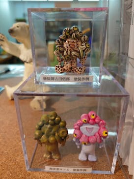 海洋堂ホビーランドに投稿された画像（2025/6/12）