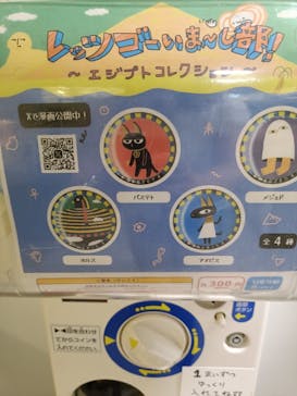 IMMERSIVE JOURNEYに投稿された画像（2025/6/12）