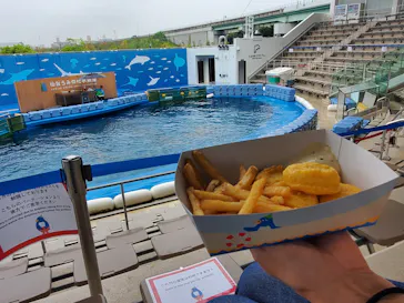 仙台うみの杜水族館に投稿された画像（2025/6/12）