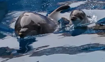 仙台うみの杜水族館に投稿された画像（2025/6/12）