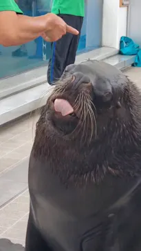 仙台うみの杜水族館に投稿された画像（2025/6/12）