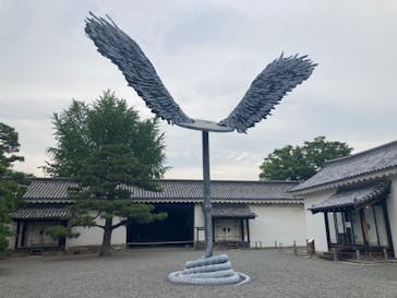 元離宮二条城に投稿された画像（2025/6/12）