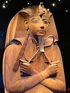 ACN ラムセス大王展 ファラオたちの黄金に投稿された画像（2025/6/12）