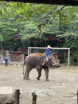 ANIMAL WONDER REZOURT 市原ぞうの国・サユリワールドに投稿された画像（2025/6/12）
