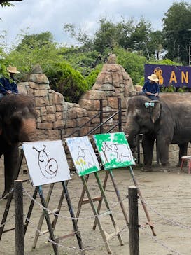 ANIMAL WONDER REZOURT 市原ぞうの国・サユリワールドに投稿された画像（2025/6/12）