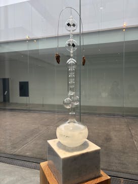 金沢21世紀美術館に投稿された画像（2025/6/12）