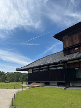 元離宮二条城に投稿された画像（2025/6/12）