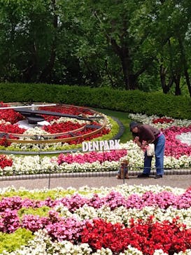 安城産業文化公園デンパークに投稿された画像（2025/6/12）