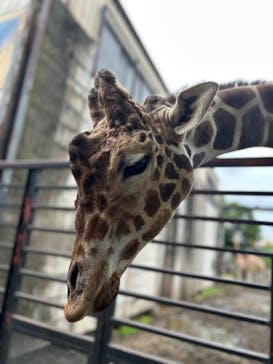 宇都宮動物園に投稿された画像（2025/6/12）