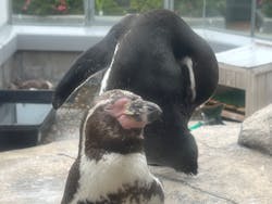 仙台うみの杜水族館に投稿された画像（2025/6/12）