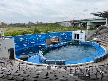 仙台うみの杜水族館に投稿された画像（2025/6/12）
