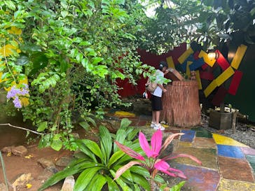 OKINAWAフルーツらんどに投稿された画像（2025/6/12）