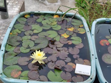 竹島水族館に投稿された画像（2025/6/12）