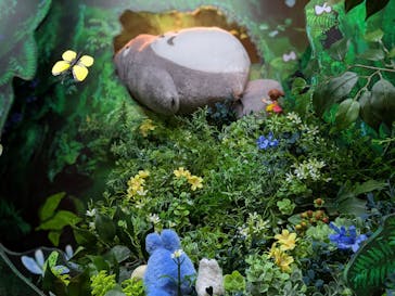 那須テディベア・ミュージアムに投稿された画像（2025/6/13）