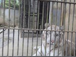 宇都宮動物園に投稿された画像（2025/6/13）