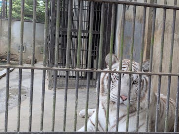 宇都宮動物園に投稿された画像（2025/6/13）