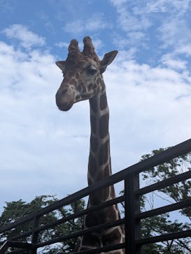 宇都宮動物園に投稿された画像（2025/6/13）