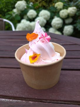 横浜イングリッシュガーデンに投稿された画像（2025/6/13）