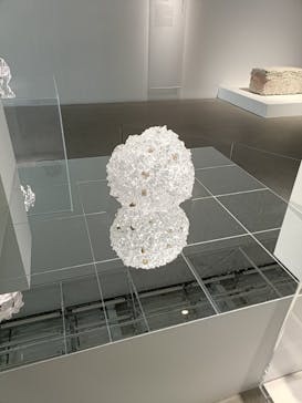 金沢21世紀美術館に投稿された画像（2025/6/13）