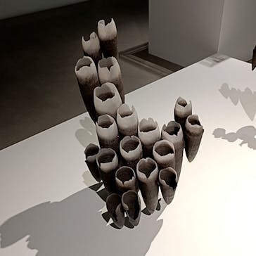 金沢21世紀美術館に投稿された画像（2025/6/13）