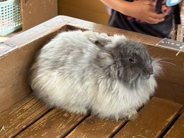 那須どうぶつ王国に投稿された画像（2025/6/13）