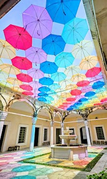 野外民族博物館 リトルワールドに投稿された画像（2025/6/13）