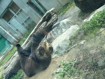 東武動物公園に投稿された画像（2025/6/13）